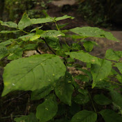 Profile Picture of Ryan MacIntyre Films (@ryanmacintyrefilms1533) on Youtube