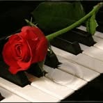 Profile Picture of Joseph Kolnagh (@Joseph-Kolnagh) on Facebook