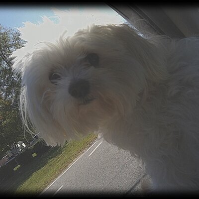 Profile Picture of Byron Hall (@RudyTHall) on Twitter
