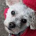 Profile Picture of Michael Spiteri (@michael.spiteri.1217) on Facebook