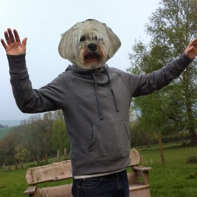 Profile Picture of Noel Grant (@noeldgrant) on Twitter