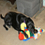 Profile Picture of caverdvmjoJo (@caverdvmjoJo) on Flickr