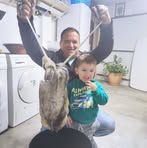 Profile Picture of Gravata Paulo (@gravata.paulo.3) on Facebook