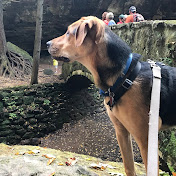 Chris Berarducci - Youtube Profile Picture of Chris Berarducci (@chrisberarducci3664) on Youtube