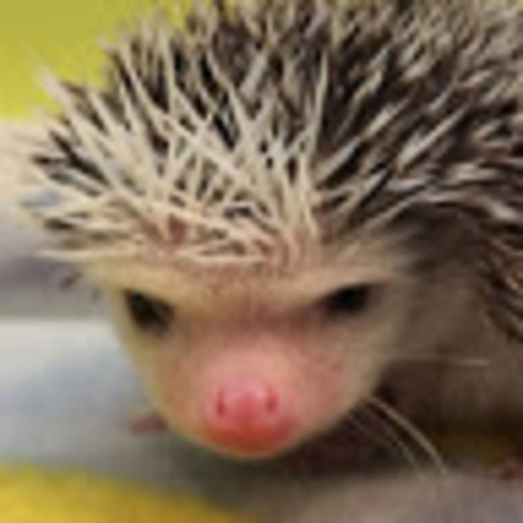 Natalie Vassar - Poshmark Profile Picture of Natalie Vassar (@nvassar75) on Poshmark