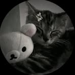 Profile Picture of Alexander Macario (@Alexander-Macario) on Facebook