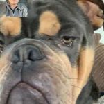 Profile Picture of James Kelleher (@kelleherj1) on Instagram