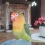 Profile Picture of Andre Goetheyn (@andregoetheyn) on Instagram