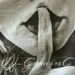 Profile Picture of Carl Benkert (@carlbenkert) on Pinterest
