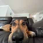 Profile Picture of Dominic Ventresca (@Dominic-Ventresca) on Facebook