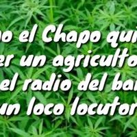 Profile Picture of Cristhian Alejandro Guzmán Cobian (@MuriasCobian) on Twitter