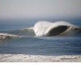 Profile Picture of Shaun Harper (@Shaun-Harper) on Facebook