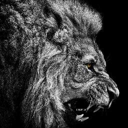 Andrew Stich - Twitter Profile Picture of Andrew Stich (@AJS362) on Twitter