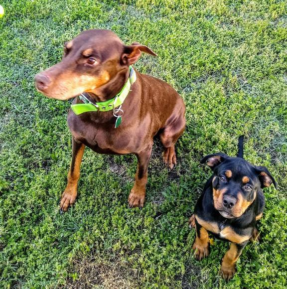 Aaron Rainey - Poshmark Profile Picture of Aaron Rainey (@aaronrainey) on Poshmark