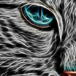 Sakariye Bashiir - Instagram Profile Picture of Sakariye Bashiir (@sakariye.bashiir.18) on Instagram