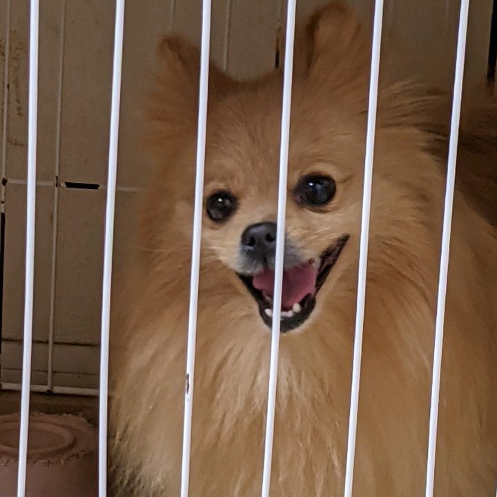 BiancaHancock - Tiktok Profile Picture of BiancaHancock (@hansecdam8n) on Tiktok