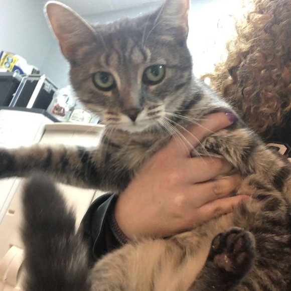 Profile Picture of Stephanie Ragonesi (@stephbeauty180) on Poshmark