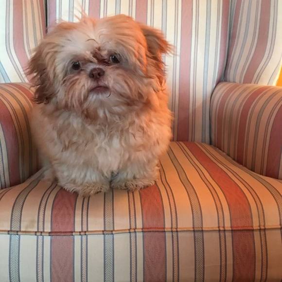 Profile Picture of Sithar Sithar (@sitharsithar) on Poshmark