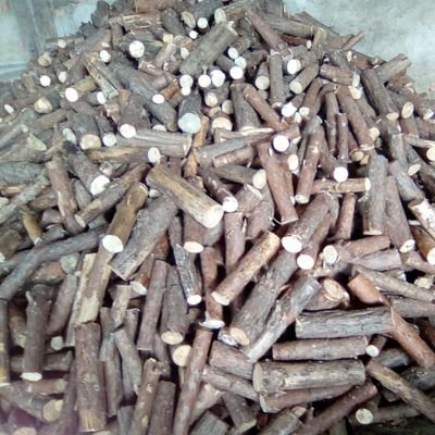 Profile Picture of Tim Schröder (@MichaelGabler3) on Twitter