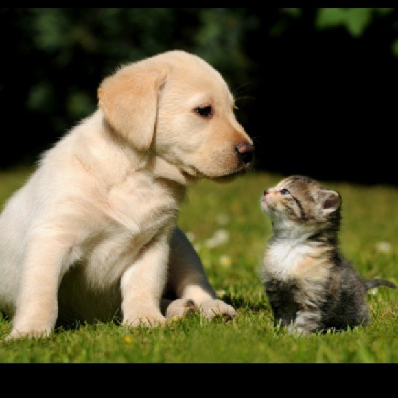 Profile Picture of Megan Gamauf (@megannngg) on Poshmark