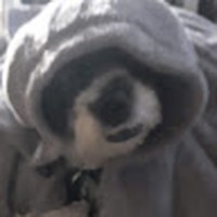 Profile Picture of Joann Velasquez (@joann-velasquez-10) on Quora