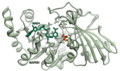 Profile Picture of Glyceraldehyde 3-phosphate dehydrogenaseon Wikipedia