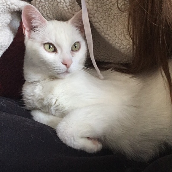 Profile Picture of Courtney Labuy (@clabuy) on Poshmark