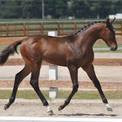 Profile Picture of Amy Mckay (@amymckay2185) on Youtube