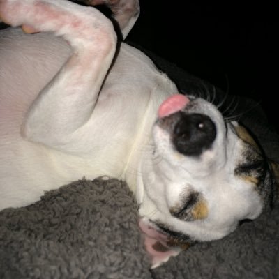 Profile Picture of Marsha Plumlee (@MarshaPlumlee) on Twitter