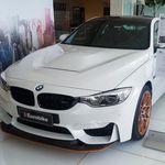 Gustavo Lima Casagrande - Instagram Profile Picture of Gustavo Lima Casagrande (@gustavo.goschy) on Instagram