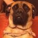 Profile Picture of Bradly Brown (@mrbbrown92) on Pinterest