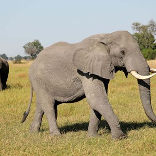 Profile Picture of Devin Bruns (@devin.bruns.39) on Facebook