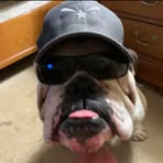 Profile Picture of Jeffrey Brooks (@jeffrey.brooks.5458) on Facebook