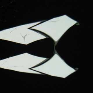 Profile Picture of Steven Allo (@steven.allo.3760) on Facebook