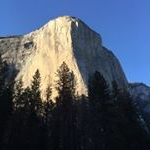 Profile Picture of Patrick Towns (@townspatrick) on Instagram