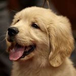 Profile Picture of Benji B Barkin (@benjibbarkin) on Instagram