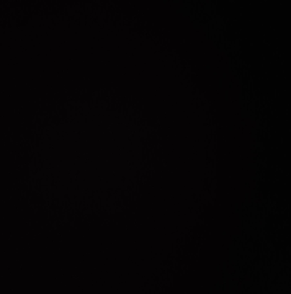 Profile Picture of Claude Jones (@claudejones) on Poshmark