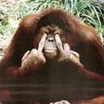 Profile Picture of Joseph Yatsko (@yatskojoseph) on Instagram