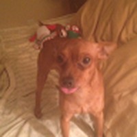 Profile Picture of Randy Behm (@randy-behm-4) on Quora