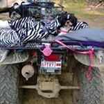 Profile Picture of Cindy Mattison (@mattisoncindy) on Instagram
