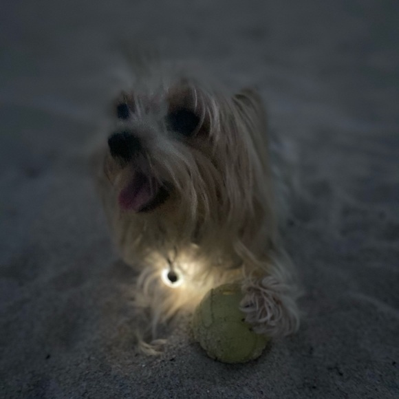 Profile Picture of Luis Agudelo (@lucho7025) on Poshmark