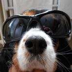 Profile Picture of Bernard Guzik (@bernard.guzik) on Facebook