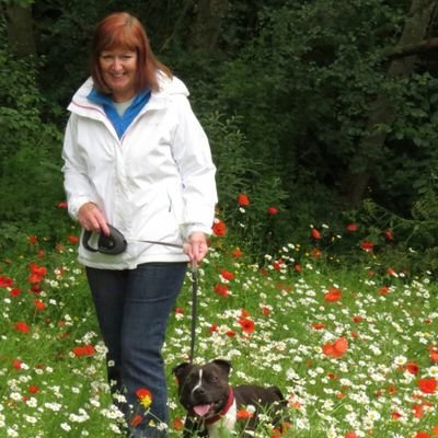 Profile Picture of Pam Hutton (@PamHutton3) on Twitter