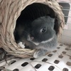 Profile Picture of KEI (@@kei.the.kid) on Tiktok