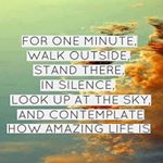 Profile Picture of Shamim Mughal (@mughalshamim) on Instagram