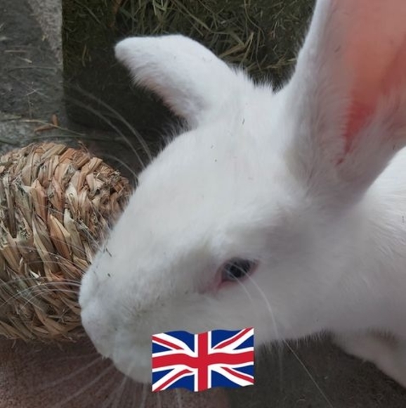 Profile Picture of Claire Maulson (@claire8819) on Poshmark