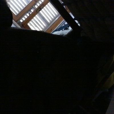 Profile Picture of Cornelius Jimmy (@CorneliusJimmy1) on Twitter