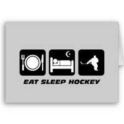 Profile Picture of Kristi Pearce (@hockeychic_24) on Twitter