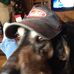 Profile Picture of Joe Brunka Sr. (@joe.brunka.5) on Facebook