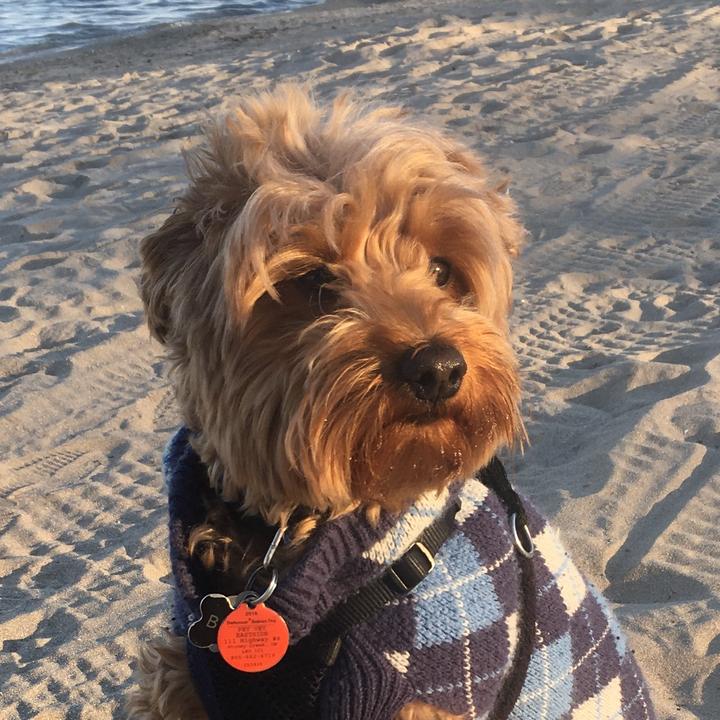 Profile Picture of Gianpaul Granata (@gianpaulgranata) on Tiktok